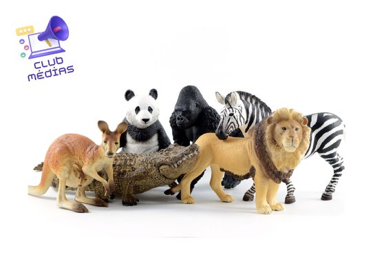 Vignette-Animaux.jpg