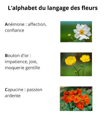Le langage des fleurs (1)_00001.jpg