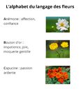 Galerie photo 